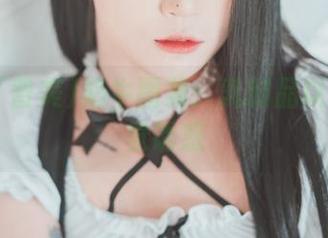 Bomi(普美)奶牛图集：乳制品以外的视觉诱惑