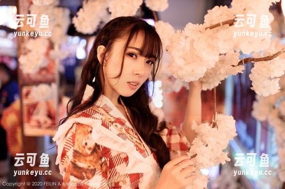 Feilin嗲囡囡 - 白丝作品精选——施忆佳KITTY！你可知道这白丝有多诱人，连我家狗都在盯着！