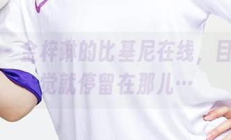 爱尤物 – 金梓琳的比基尼在线，目光不自觉就停留在那儿…