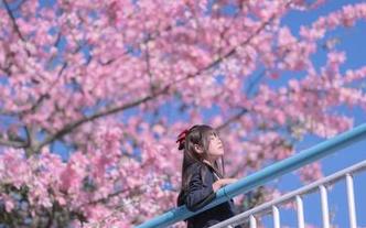 新图包上线：萌芽儿o0的遐想，这脑洞真是不赖