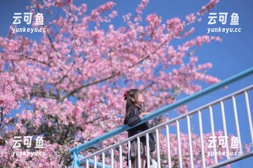 新图包上线：萌芽儿o0的遐想，这脑洞真是不赖